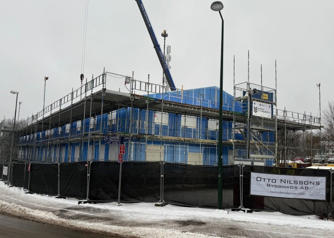 mossen